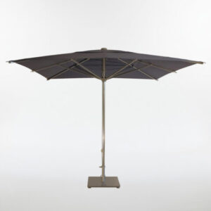 päikesevari reflex