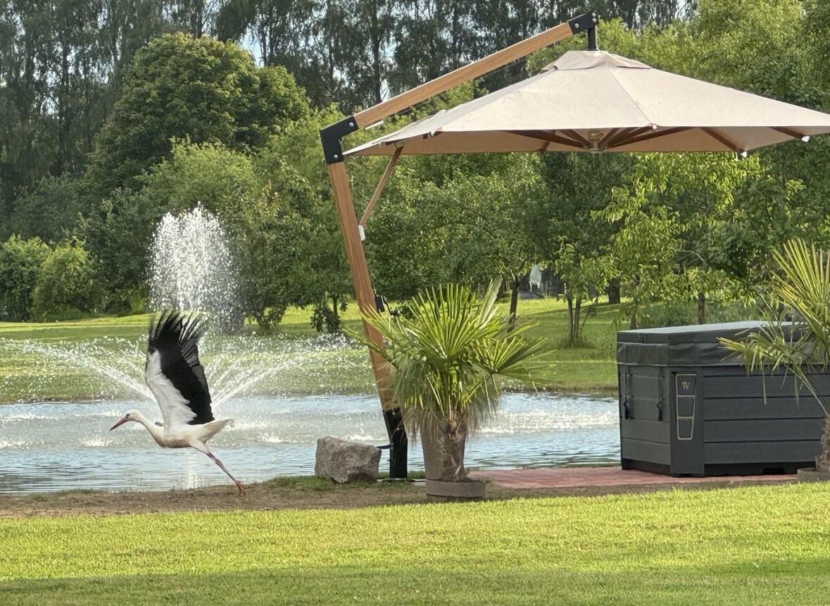 päikesevari aias ultra sa