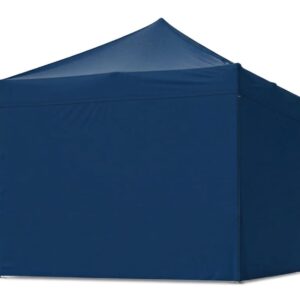 Navy Blue (Pantone 2767C) walls